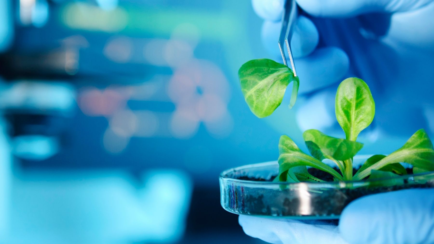 İklim Değişikliğinin Sürdürülebilir Üretim ve Tüketim Üzerindeki Etkileri - ya da multicosmetics