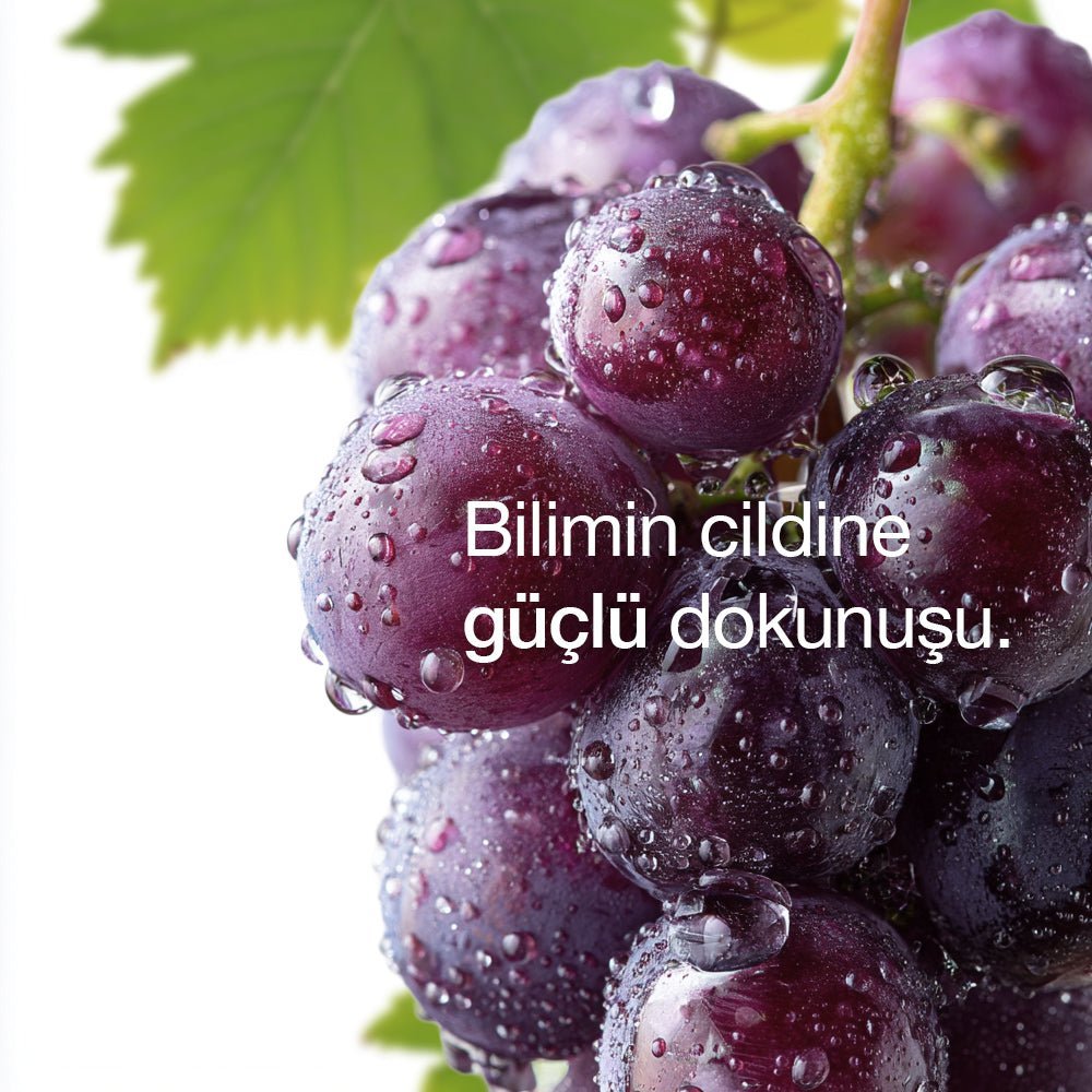 Viniferine Cilt Yenileyici ve Aydınlatıcı Serum Kuru ve Karma Ciltler için
